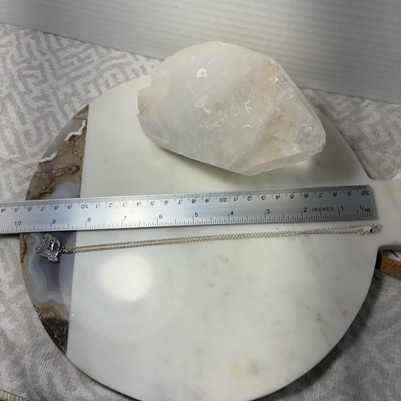 Silver Plated Terrier Necklace with Pendant Charm by Silver Companions - Picture 3 of 5